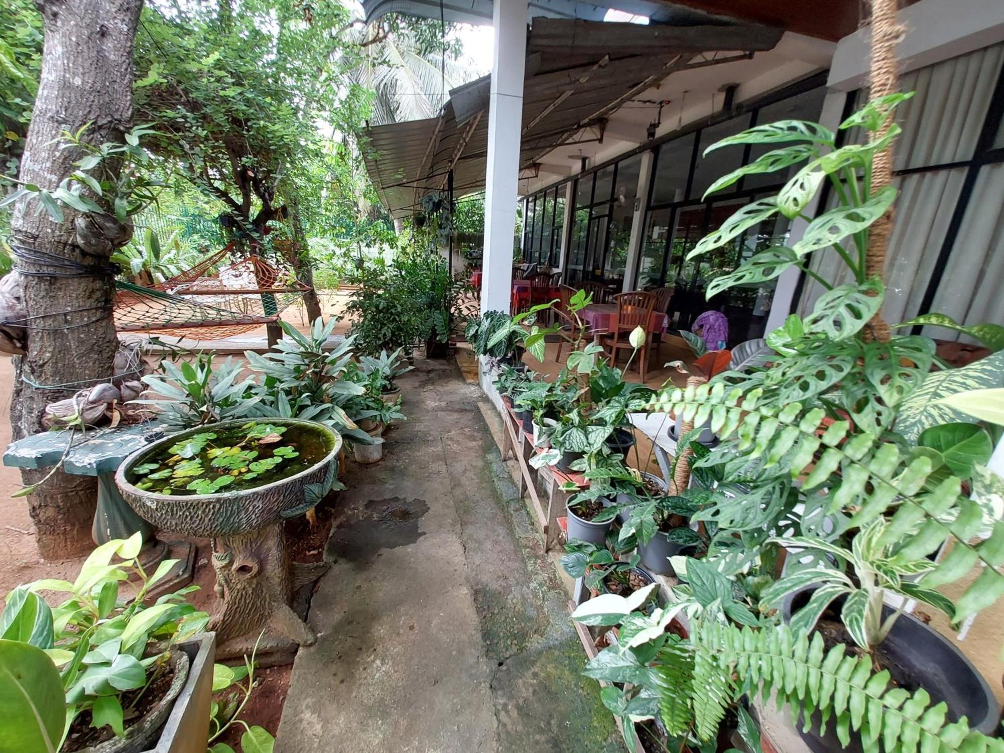 Lake Wave Hotel Anuradhapura Luaran gambar